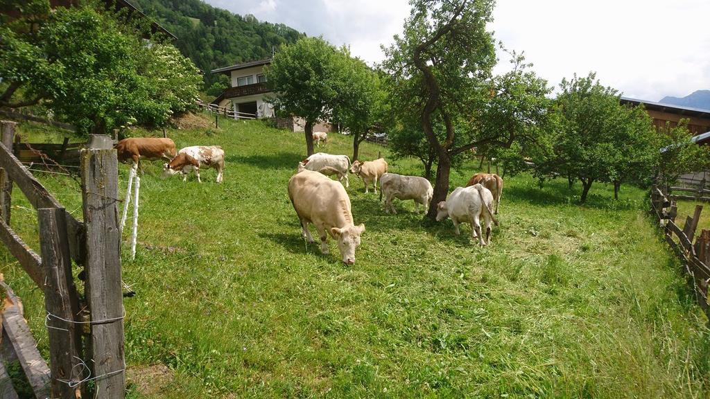 Kraeuterpension Rosenkranz Rangersdorf Bagian luar foto